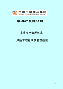 2019新煤矿风险管理标准及管理措施汇编700页30万字