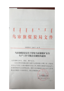 乌审旗煤炭局关于印发乌审旗煤矿安全生产工作专题会议制度的通知