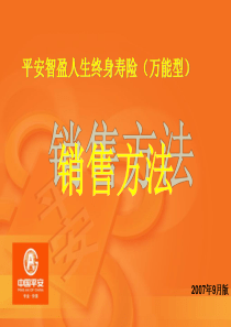 6-3智盈人生及万能组合销售方法(第6天下午)