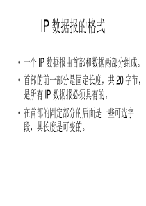 IP 数据报的格式详解