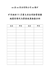 矿长组织风险管控效果检查分析11月