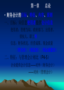 财务会计的目标(ppt46)