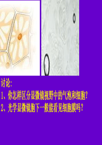 高中生物必修一第三章第一节细胞膜教学课件