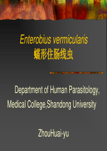 蠕形住肠线虫（enterobiusvermicularislinnaeus,1758)