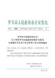 毕节市人民政府办公室关于印发毕节市迎接国家煤矿安监局开展煤矿安全生产综合督查工作方案的通知PDF