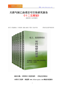 天然气制乙炔项目可行性研究报告立项格式范文