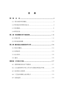 粉煤灰纸浆项目可行性研究报告(粉煤灰综合利用项目可研)