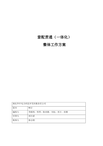 某公司营配贯通一体化整体工作方案