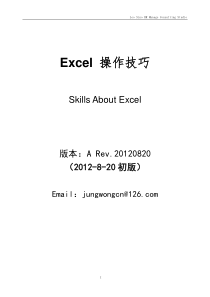 Excel操作技巧与实例(大全)