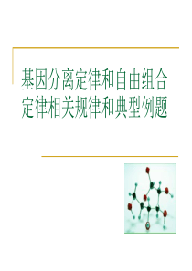 基因分离定律和自由组合定律解题规律