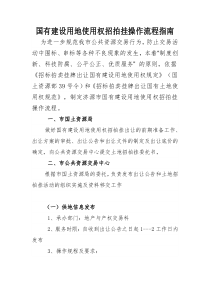 国有建设用地使用权招拍挂操作流程指南（DOC8页）