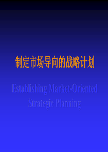 制定市场导向的战略计划-销售培训-营销方案-网络营销-销售管理-销售团队