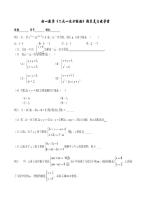 初一数学《二元一次方程组》期末复习教学案