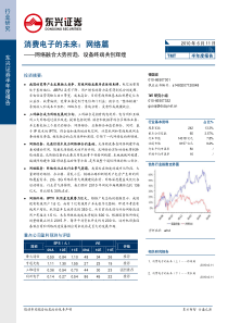 东兴证券-TMT行业半年度报告：消费电子的未来(网络篇)-100611