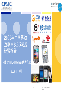 2010年中国移动互联网及3G发展研究报告