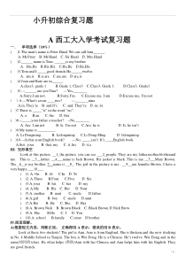 小升初英语综合复习题