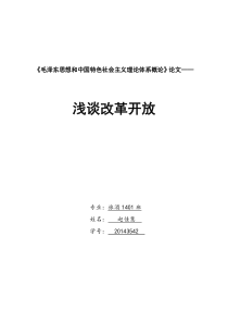 毛概论文之浅谈改革开放