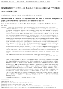 散发性乳腺癌中+DNMT3a、3b+表达及其与+BRCA1基因启动子甲基化和蛋白表达的相关性