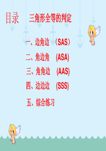 人教版八年级上册-12.2-三角形全等的判定-复习课课件-(共38张PPT)