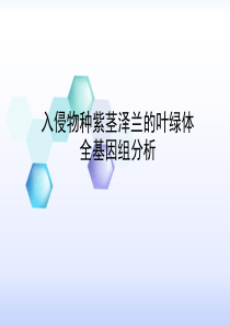 入侵物种紫茎泽兰的叶绿体全基因组分析