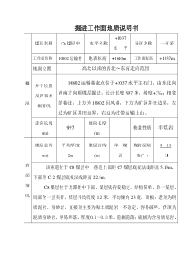 10802掘进工作面地质说明书