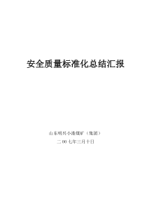 2007年矿井安全质量标准化总结汇报