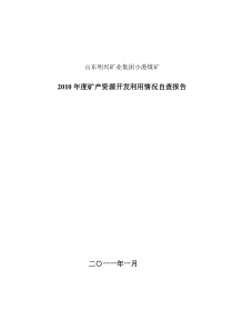 2010矿产资源开发利用情况报告采矿权评估