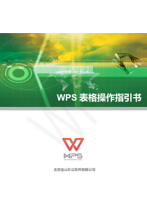 WPS表格操作指引书