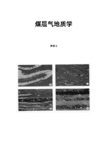 煤层气瓦斯地质基础知识