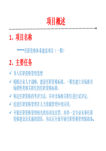 任职资格体系建设建议方案