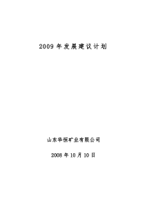 华恒公司2009发展计划上报稿