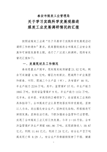 学习实践科学发展观调研汇报