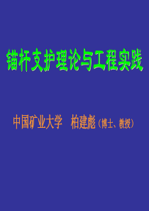 锚杆支护理论与实践