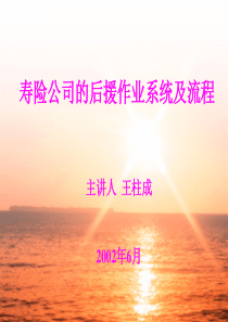 寿险公司的后援作业系统及流程