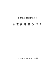 整改报告1月30号