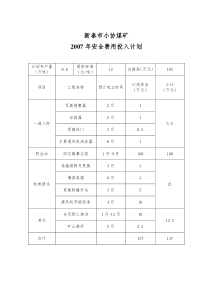 新泰市小协煤矿2007年安全费用投入计划表