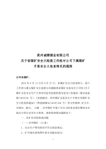 贵州诚搏煤业有限公司关于省煤矿安全大检查工作组对公司下属煤矿安全大检查情况通报