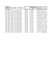 风险点源库模板五职矿长