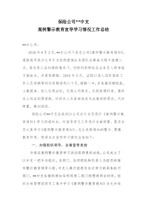 保险公司案件警示教育宣传总结