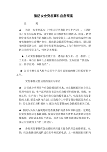 消防安全突发事件应急预案