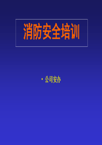 安办消防安全培训资料