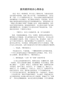 新岗教师培训心得体会