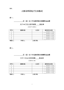 上报名单的电子文本格式