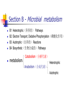 水处理微生物学双语21