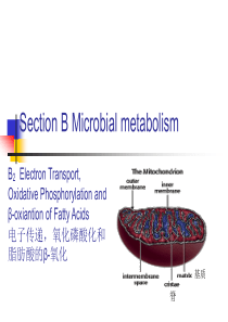 水处理微生物学双语22