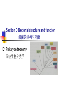 水处理微生物学双语414