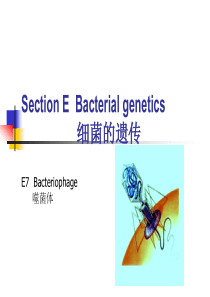 水处理微生物学双语5710