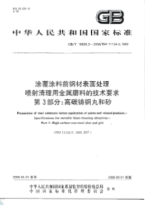 GBT1883832008涂覆涂料前钢材表面处理喷射清理用金属磨料的技术要求第三部分高