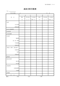 T119成本分析月报表