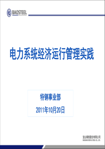 电力系统经济运行管理实践 (特钢)